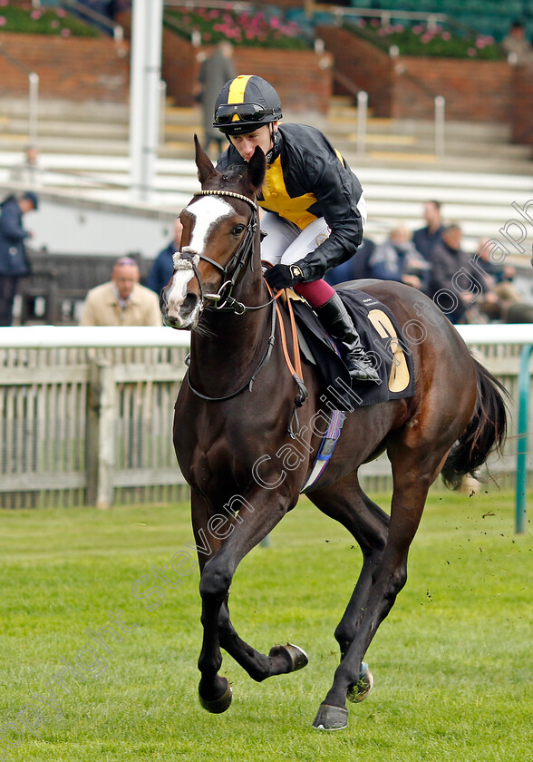 Lady-Flora-0001 
 LADY FLORA (Oisin Murphy)
Newmarket 25 Oct 2023 - Pic Steven Cargill / Racingfotos.com