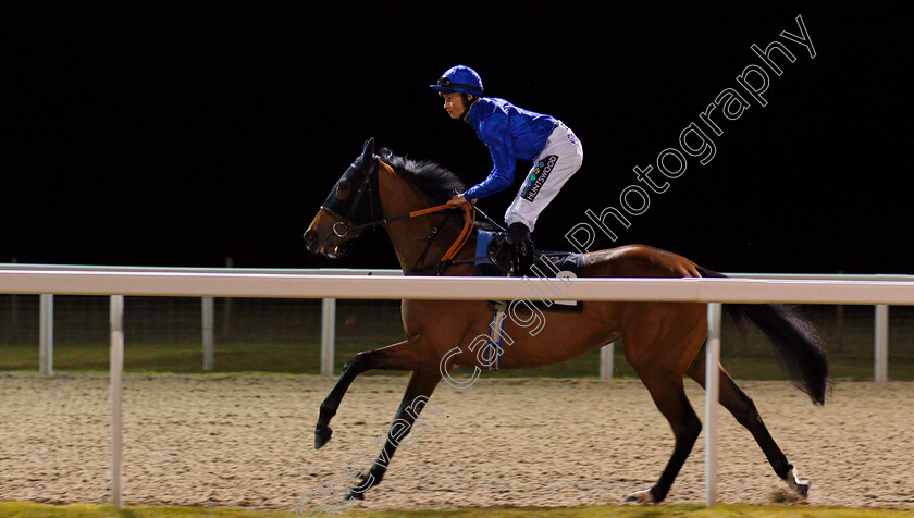 Beautiful-Memory-0001 
 BEAUTIFUL MEMORY (William Cox) winner of The Eat Drink Celebrate At channelestate.co.uk Novice Stakes Feb 2018 - Pic Steven Cargill / Racingfotos.com