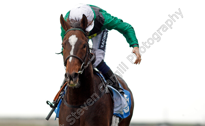 Limato-0008 
 LIMATO (Harry Bentley) wins The Godolphin Stud And Stable Staff Awards Challenge Stakes Newmarket 13 Oct 2017 - Pic Steven Cargill / Racingfotos.com