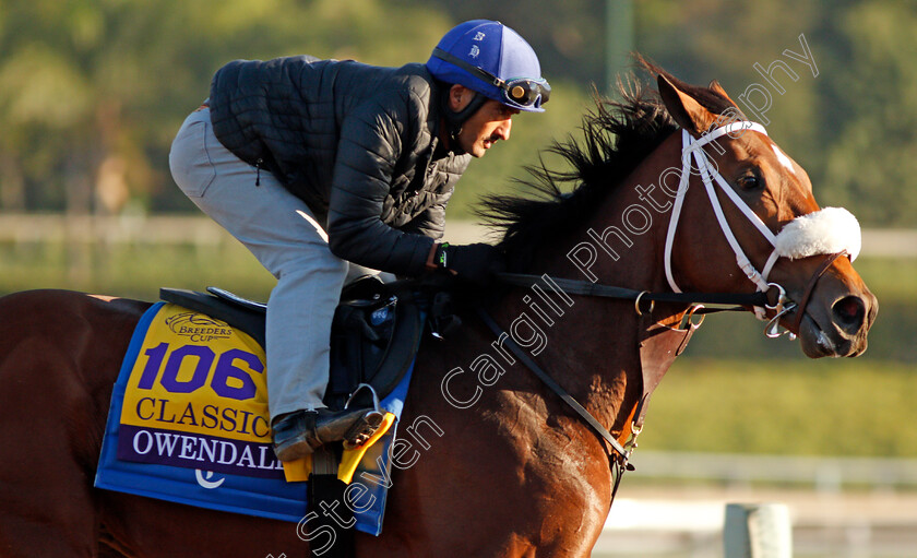 Owendale-0001 
 OWENDALE training for the Breeders' Cup Classic
Santa Anita USA 30 Oct 2019 - Pic Steven Cargill / Racingfotos.com