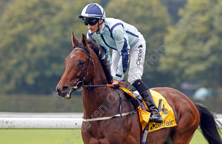 Epic-Poet-0006 
 EPIC POET (Daniel Tudhope) winner of The Betfair Old Borough Cup
Haydock 7 Sep 2024 - Pic Steven Cargill / Racingfotos.com