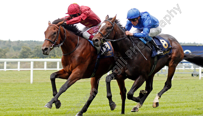 Enemy-0004 
 ENEMY (left, Oisin Murphy) beats LAW OF PEACE (right) in The Charbonnel Et Walker British EBF Maiden Stakes
Ascot 6 Sep 2019 - Pic Steven Cargill / Racingfotos.com