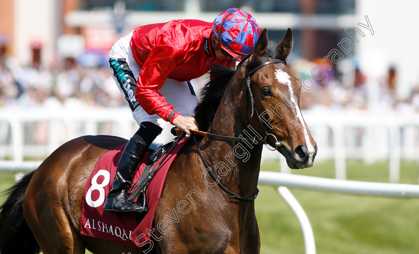 Mekong-0001 
 MEKONG (Harry Bentley)
Newbury 19 May 2018 - Pic Steven Cargill / Racingfotos.com