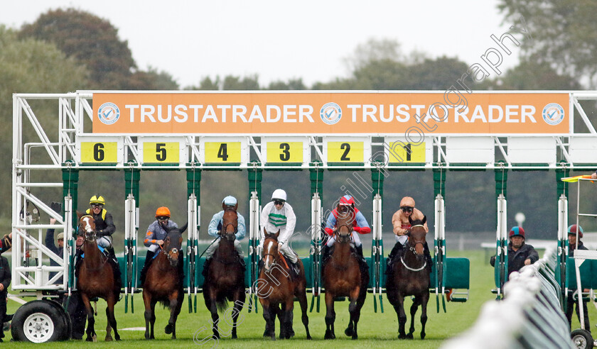 Divine-Comedy-0006 
 winner DIVINE COMEDY (stall 2, Kaiya Fraser) breaks froms the stalls with the field for The Trustatrader Fully Vetted Tradespeople Fillies Handicap
Nottingham 11 Oct 2023 - Pic Steven Cargill / Racingfotos.com