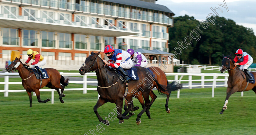 Holy-Tiber-0002 
 HOLY TIBER (Joey Haynes) wins The Heed Your Hunch At Betway Handicap
Lingfield 26 Aug 2020 - Pic Steven Cargill / Racingfotos.com