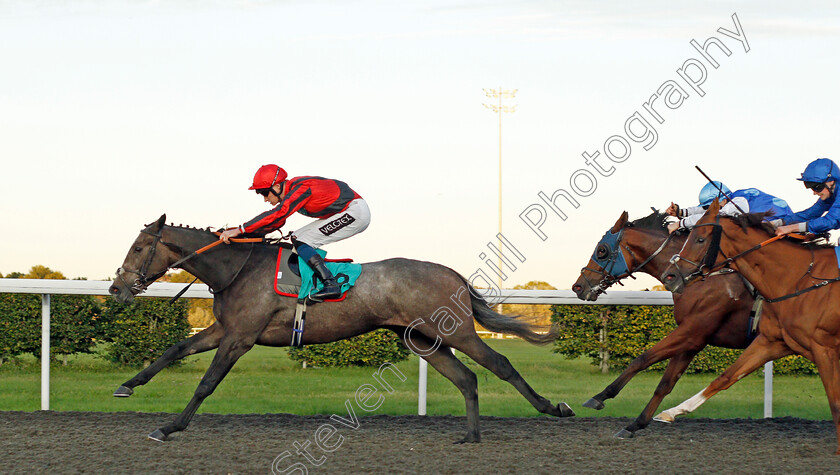 Graystone-0002 
 GRAYSTONE (Daniel Muscutt) wins The Unibet 3 Uniboosts A Day Handicap
Kempton 6 Oct 2021 - Pic Steven Cargill / Racingfotos.com