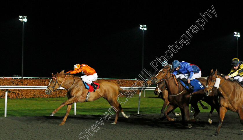 Suns-Up-Guns-Up-0001 
 SUNS UP GUNS UP (Charles Bishop) beats TURN OF PHRASE (blue) and BAASHIQ (right) in The Join Racing TV Now Handicap
Kempton 13 Jan 2021 - Pic Steven Cargill / Racingfotos.com