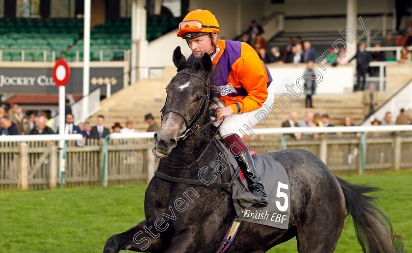 Enola-Grey-0001 
 ENOLA GREY (Rob Hornby)
Newmarket 29 Oct 2022 - Pic Steven Cargill / Racingfotos.com