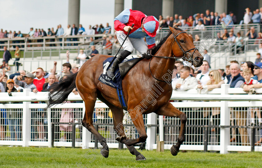 Moss-Tucker-0003 
 MOSS TUCKER (Billy Lee) wins The Al Basti Equiworld Dubai Flying Five Stakes
The Curragh 10 Sep 2023 - Pic Steven Cargill / Racingfotos.com