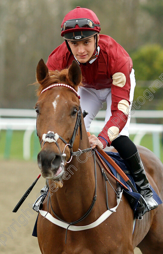 Power-Of-You-0001 
 POWER OF YOU (Pierre-Louis Jamin)
Lingfield 23 Mar 2019 - Pic Steven Cargill / Racingfotos.com