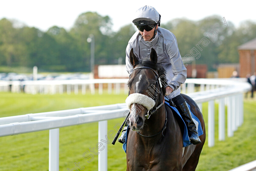 Match-Play-0002 
 MATCH PLAY (Daniel Tudhope)
York 12 May 2022 - Pic Steven Cargill / Racingfotos.com