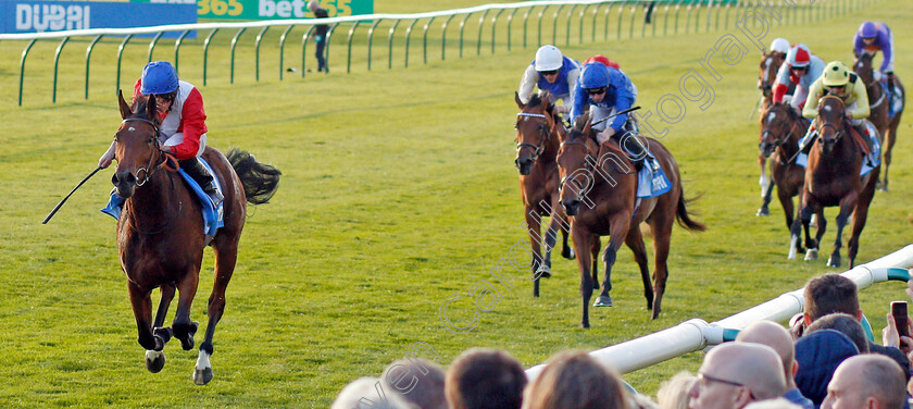 Veracious-0004 
 VERACIOUS (Ryan Moore) wins The Godolphin Under Starters Orders Maiden Fillies Stakes Newmarket 13 Oct 2017 - Pic Steven Cargill / Racingfotos.com