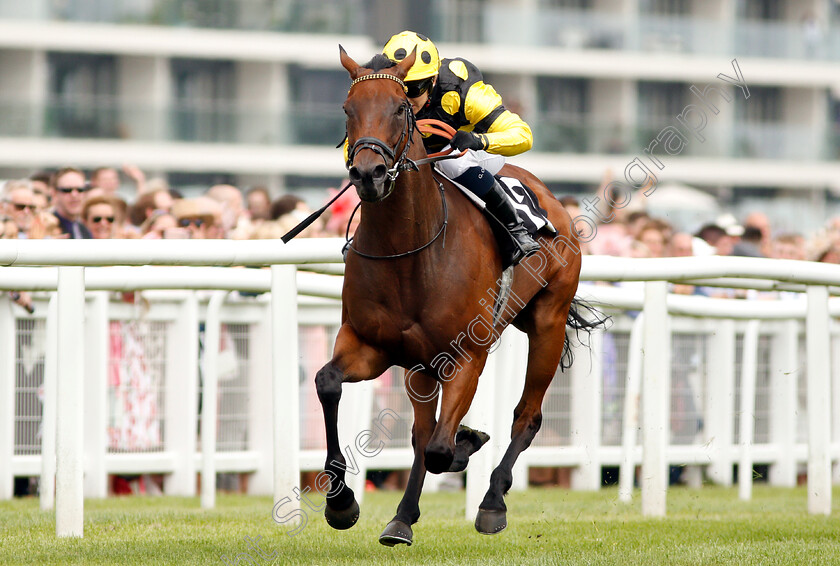 Squats-0003 
 SQUATS (Georgia Cox) wins The Laurent-Perrier Handicap
Newbury 18 Aug 2018 - Pic Steven Cargill / Racingfotos.com