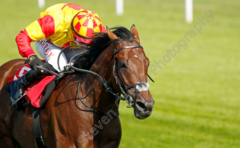 Savvy-Victory-0001 
 SAVVY VICTORY (Tom Marquand) wins The Davies Insurance Solutions Gala Stakes
Sandown 7 Jul 2023 - Pic Steven Cargill / Racingfotos.com