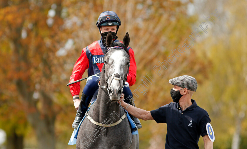 Duke-Of-Verona-0001 
 DUKE OF VERONA (David Probert)
Leicester 24 Apr 2021 - Pic Steven Cargill / Racingfotos.com