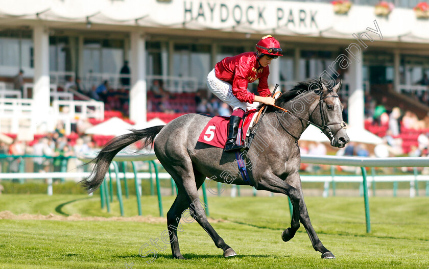 Lion-Kingdom-0002 
 LION KINGDOM (Cieren Fallon)
Haydock 1 Sep 2022 - Pic Steven Cargill / Racingfotos.com