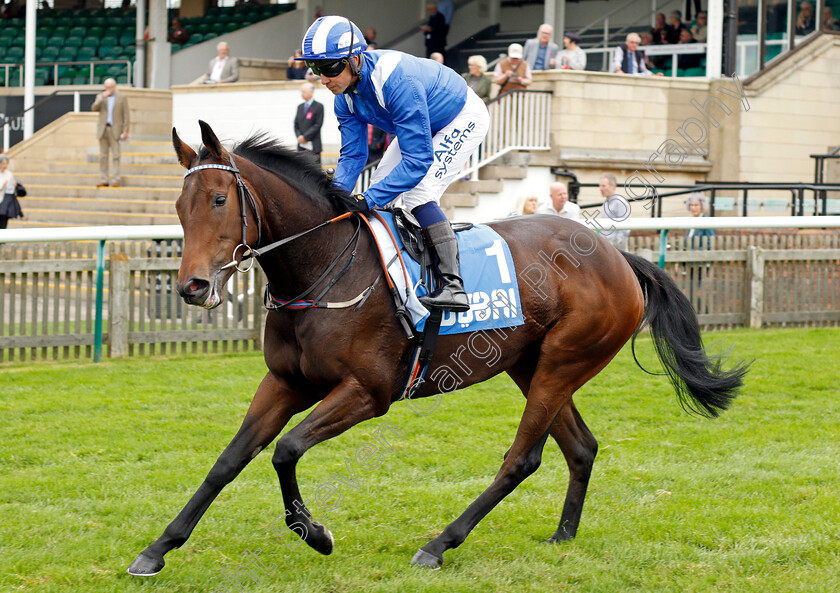 Allayaali 
 ALLAYAALI (Jim Crowley)
Newmarket 8 Oct 2021 - Pic Steven Cargill / Racingfotos.com