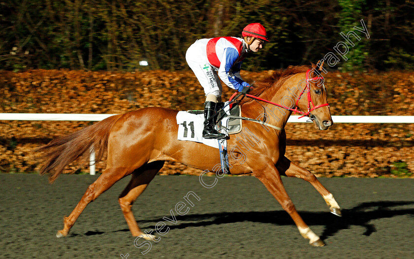 Song-Of-Pompeia-0001 
 SONG OF POMPEIA (Kieran O'Neill)
Kempton 4 Mar 2020 - Pic Steven Cargill / Racingfotos.com