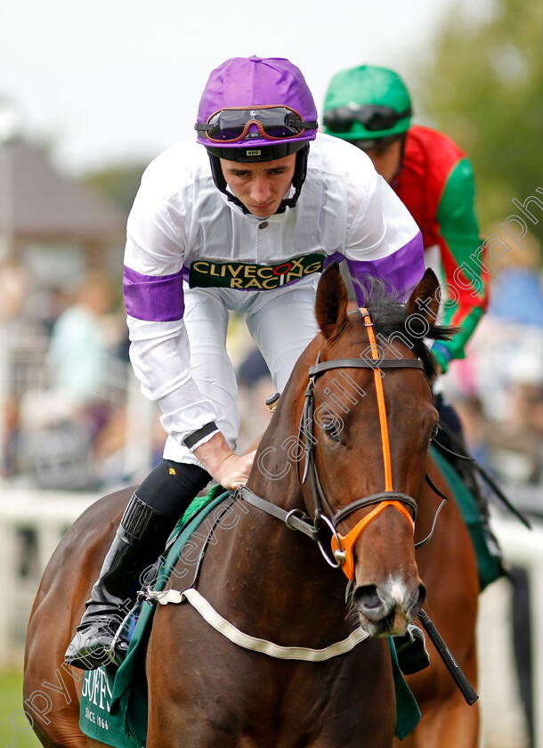 Diligently-0008 
 DILIGENTLY (Rossa Ryan) winner of The Harry's Half Million By Goffs Premier Yearling Stakes
York 22 Aug 2024 - Pic Steven Cargill / Racingfotos.com