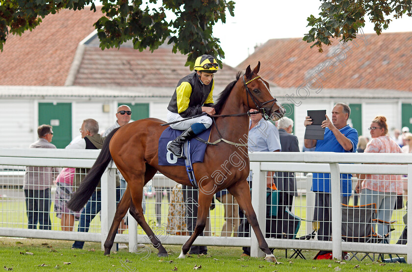 Wajd-0001 
 WAJD (William Buick) winner of The British EBF Fillies Novice Stakes
Yarmouth 16 Sep 2021 - Pic Steven Cargill / Racingfotos.com