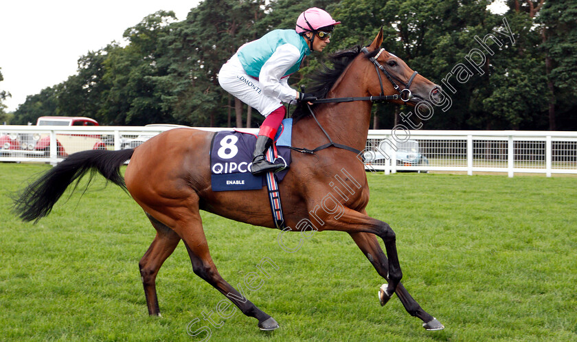 Enable-0008 
 ENABLE (Frankie Dettori) before The King George VI & Queen Elizabeth Stakes
Ascot 27 Jul 2019 - Pic Steven Cargill / Racingfotos.com