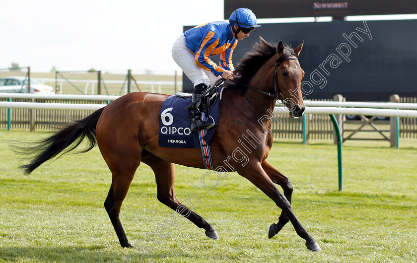 Hermosa-0001 
 HERMOSA (Wayne Lordan) before The Qipco 1000 Guineas Stakes
Newmarket 5 May 2019 - Pic Steven Cargill / Racingfotos.com