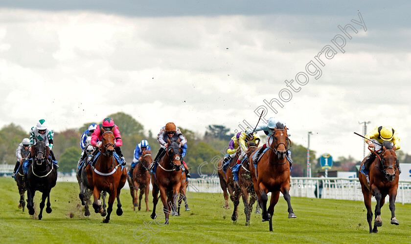 Starman-0002 
 STARMAN (2nd right, Oisin Murphy) beats NAHAARR (right) in The Duke Of York Clipper Logistics Stakes
York 12 May 2021 - Pic Steven Cargill / Racingfotos.com