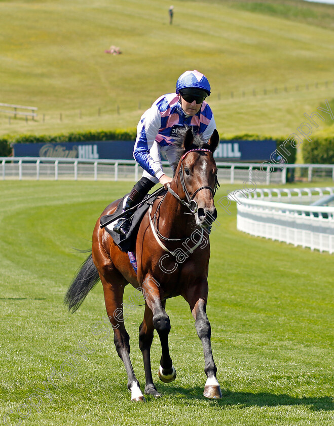 Bated-Breeze-0001 
 BATED BREEZE (Tom Queally)
Goodwood 26 May 2023 - Pic Steven Cargill / Racingfotos.com