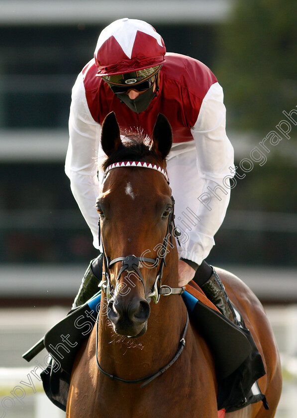 Glorious-Journey-0002 
 GLORIOUS JOURNEY (James Doyle) before winning The Dubai Duty Free Cup
Newbury 18 Sep 2020 - Pic Steven Cargill / Racingfotos.com