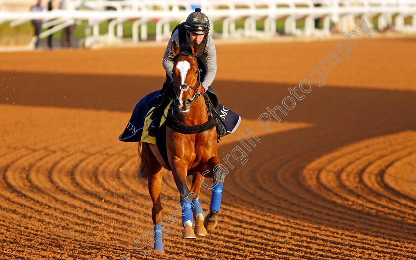 Harrovian-0002 
 HARROVIAN training for The Neom Turf Cup
King Abdulaziz Racetrack, Riyadh, Saudi Arabia 23 Feb 2022 - Pic Steven Cargill / Racingfotos.com