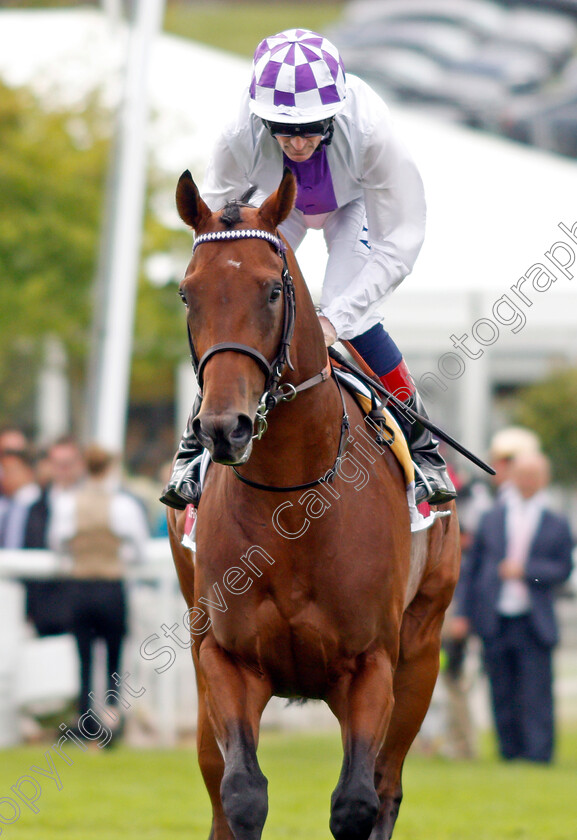 Poetic-Flare-0002 
 POETIC FLARE (Kevin Manning)
Goodwood 28 Jul 2021 - Pic Steven Cargill / Racingfotos.com