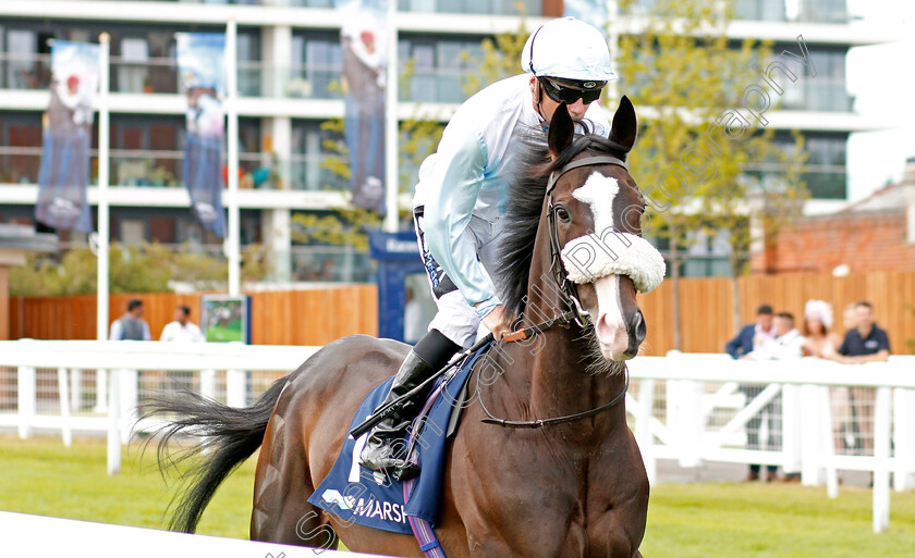 Carnwennan-0002 
 CARNWENNAN (Stevie Donohoe)
Newbury 20 Jul 2019 - Pic Steven Cargill / Racingfotos.com