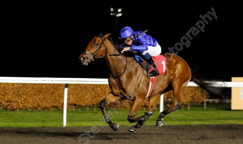 Wild-Nature-0002 
 WILD NATURE (William Buick) wins The Unibet Nursery
Kempton 11 Dec 2024 - Pic Steven Cargill / Racingfotos.com