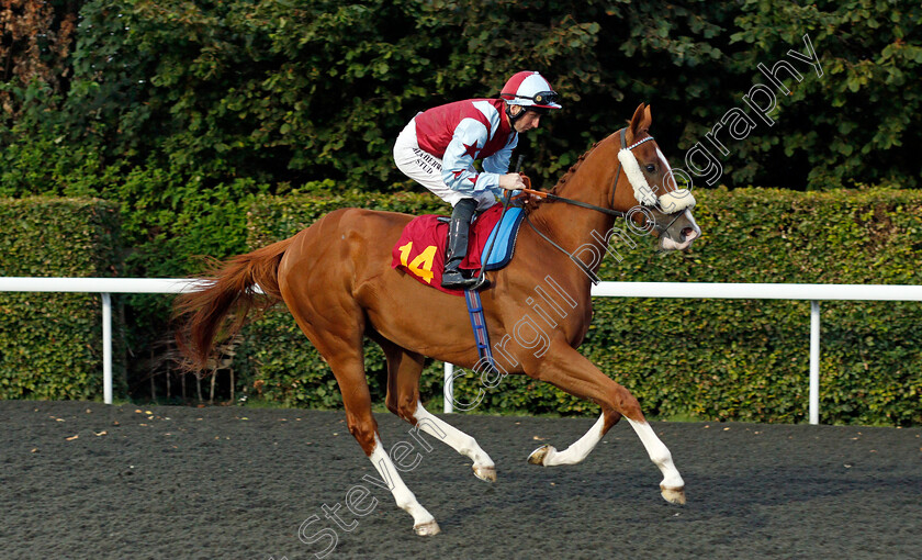 Dutch-Story-0001 
 DUTCH STORY (Martin Dwyer)
Kempton 3 Sep 2019 - Pic Steven Cargill / Racingfotos.com