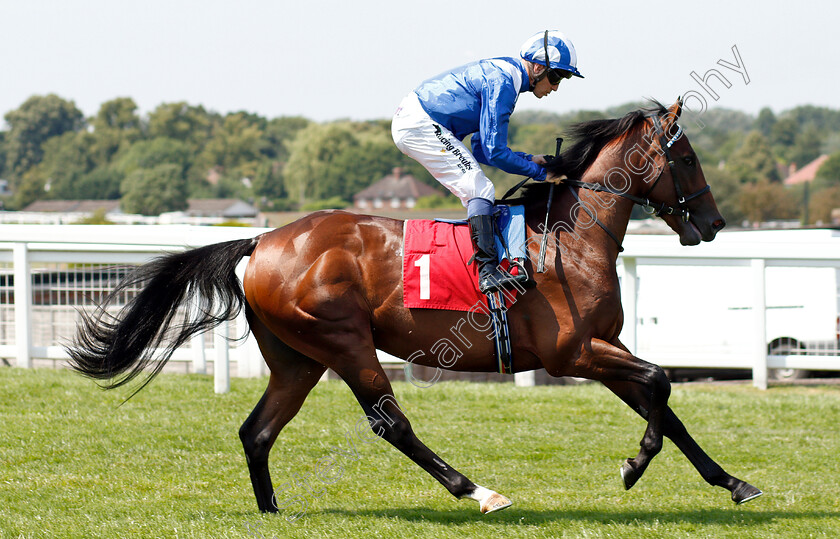 Alrajaa-0001 
 ALRAJAA (Jim Crowley)
Sandown 6 Jul 2018 - Pic Steven Cargill / Racingfotos.com