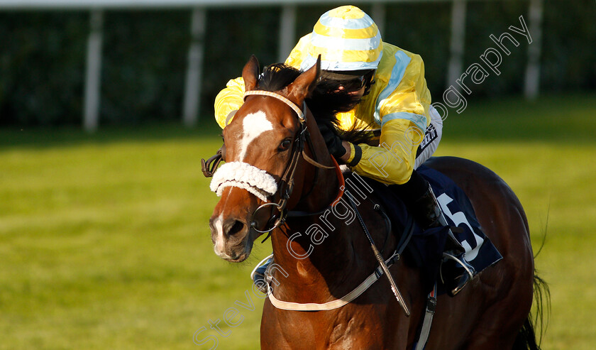 Sandret-0005 
 SANDRET (Graham Lee) wins The Coopers Marquees Classified Stakes
Doncaster 13 Sep 2019 - Pic Steven Cargill / Racingfotos.com