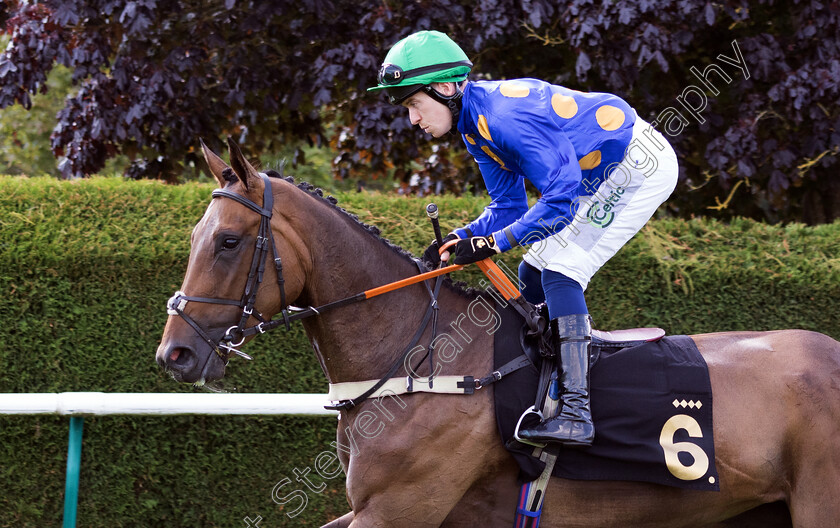 Maruna-0001 
 MARUNA (Paddy Bradley)
Nottingham 19 Jul 2024 - Pic Steven Cargill / Megan Dent / Racingfotos.com