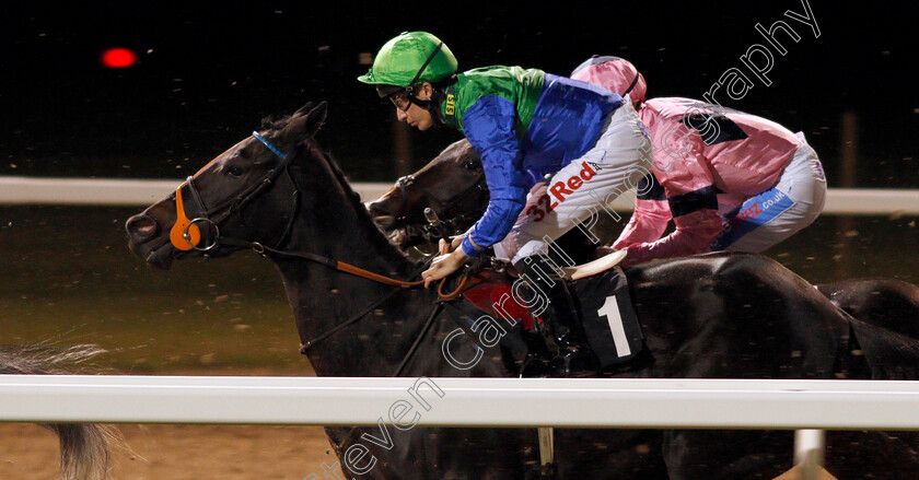 Kohinoor-Diamond-0001 
 KOHINOOR DIAMOND (Luke Morris) Chelmsford 12 Oct 2017 - Pic Steven Cargill / Racingfotos.com