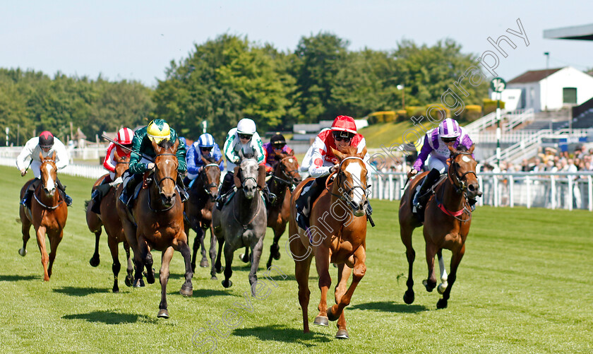 Araminta-0004 
 ARAMINTA (Trevor Whelan) wins The William Hill Height Of Fashion Stakes
Goodwood 26 May 2023 - Pic Steven Cargill / Racingfotos.com