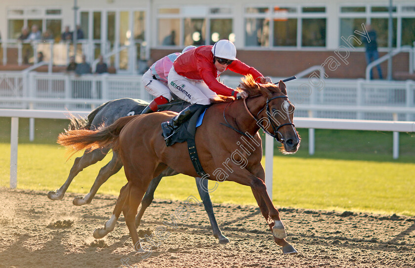 Protest-0001 
 PROTEST (Jack Mitchell) wins The Juddmonte EBF Fillies Restricted Novice Stakes
Chelmsford 3 Oct 2024 - Pic Steven Cargill / Racingfotos.com