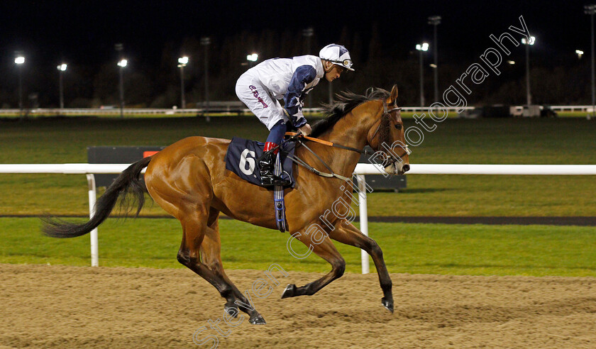 Show-Maker-0001 
 SHOW MAKER (Callum Rodriguez) winner of The Betway Novice Stakes
Wolverhampton 11 Mar 2022 - Pic Steven Cargill / Racingfotos.com