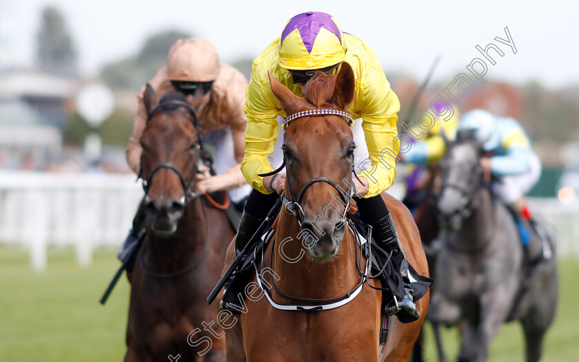 Sea-Of-Class-0006 
 SEA OF CLASS (James Doyle) wins The Johnnie Lewis Memorial British EBF Stakes 
Newbury 14 Jun 2018 - Pic Steven Cargill / Racingfotos.com