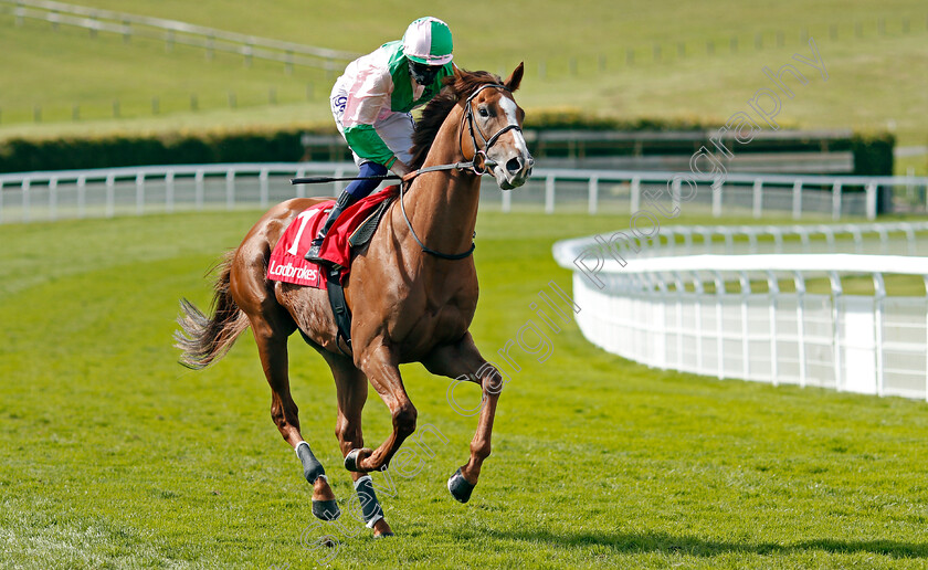 Celtic-Art-0001 
 CELTIC ART (David Probert)
Goodwood 29 Aug 2020 - Pic Steven Cargill / Racingfotos.com