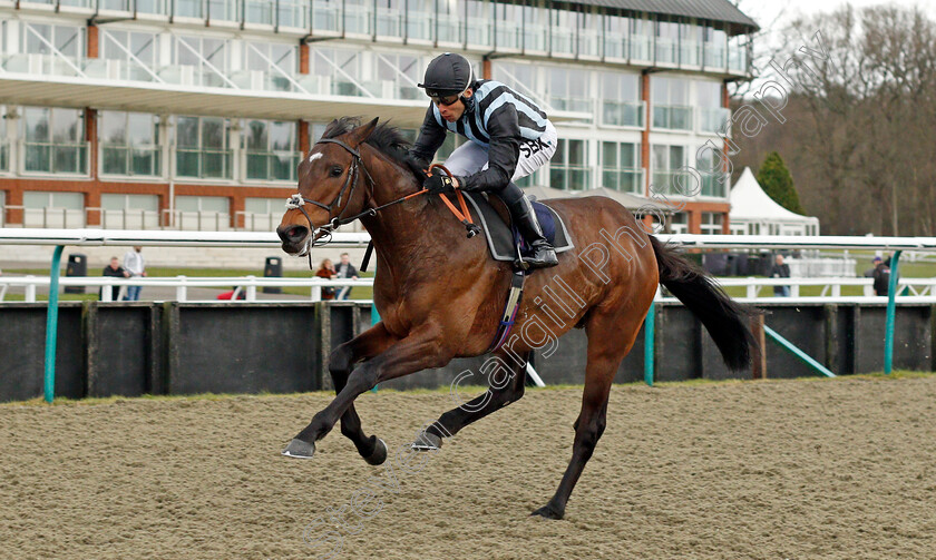 Fancy-Man-0006 
 FANCY MAN (Sean Levey) wins The Betway Winter Derby Trial Stakes
Lingfield 5 Feb 2022 - Pic Steven Cargill / Racingfotos.com