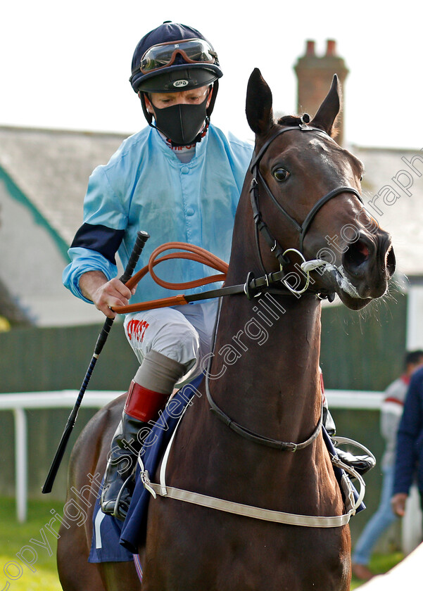 Immaculate-0003 
 IMMACULATE (Franny Norton)
Yarmouth 20 Oct 2020 - Pic Steven Cargill / Racingfotos.com