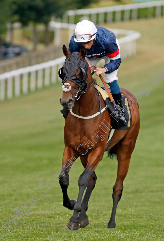 Attache 
 ATTACHE (William Buick)
Newmarket 22 Jul 2022 - Pic Steven Cargill / Racingfotos.com