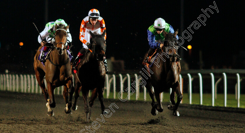 Beauty-Stone-0004 
 BEAUTY STONE (right, Hollie Doyle) beats RUBY RED EMPRESS (left) and TORBELLINO (centre) in The Unibet Extra Place Offers Every Day Fillies Handicap
Kempton 3 Feb 2021 - Pic Steven Cargill / Racingfotos.com