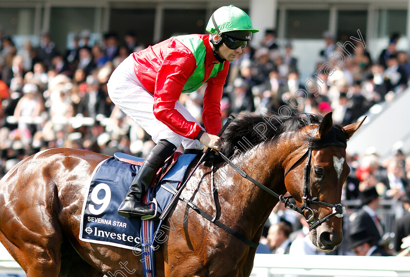 Sevenna-Star-0001 
 SEVENNA STAR (Robert Havlin)
Epsom 2 Jun 2018 - Pic Steven Cargill / Racingfotos.com