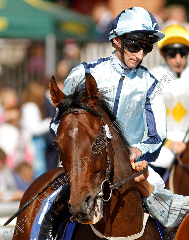 Epic-Poet-0001 
 EPIC POET (Daniel Tudhope)
York 24 Aug 2024 - Pic Steven Cargill / Racingfotos.com