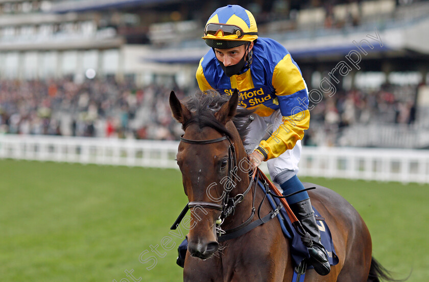 Wonderful-Tonight-0002 
 WONDERFUL TONIGHT (William Buick) winner of The Hardwicke Stakes
Royal Ascot 19 Jun 2021 - Pic Steven Cargill / Racingfotos.com